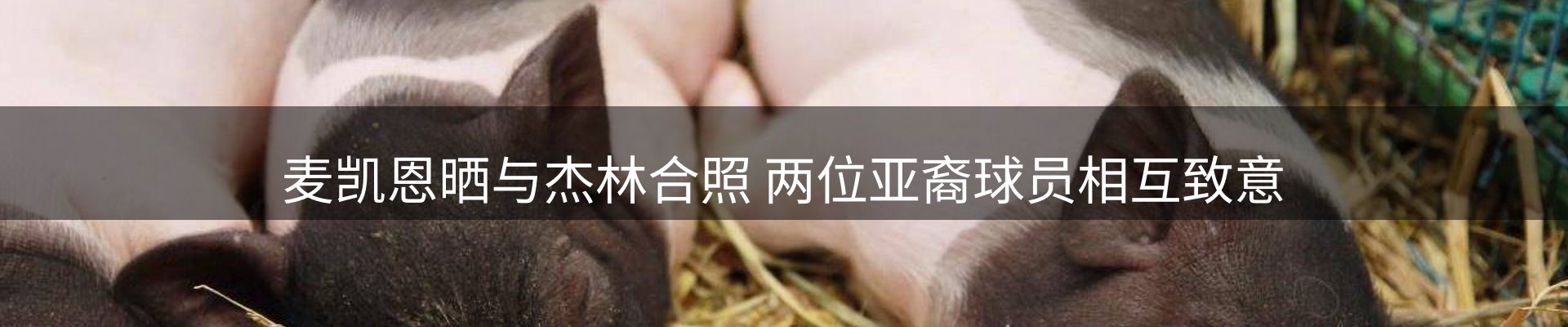 最新资讯